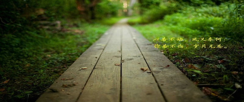 路漫漫其修遠兮,吾將上下而求索